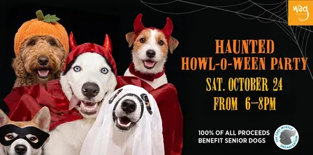 Haunted Howl-o-ween Party for Dogs at Wag Hotels Hollywood