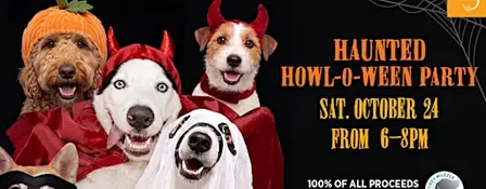 Haunted Howl-o-ween Party for Dogs at Wag Hotels Redwood City