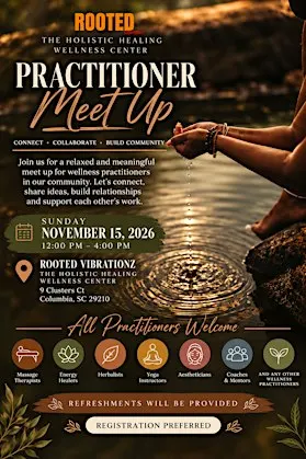 Wellness Practitioners Meet up