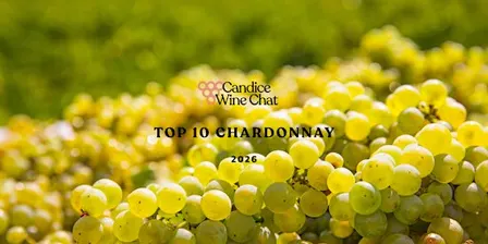 Top 10 Chardonnay - Wellington