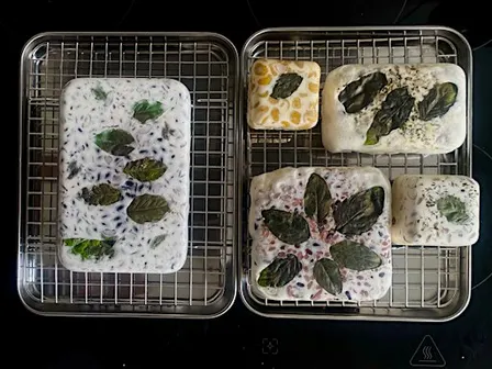 Fermenta Collective: Tempeh, from Home to Berlin