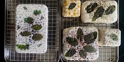 Fermenta Collective: Tempeh, from Home to Berlin