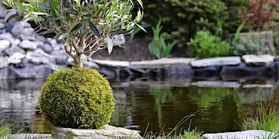 Botanica: "Impara l'arte giapponese del Kokedama" presenta Lapo Morgantini