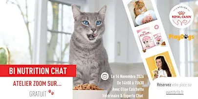ZOOM SUR... BI-NUTRITION CHAT