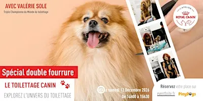 Apprendre le Toilettage Canin – Spécial double fourrure Atelier éducatif