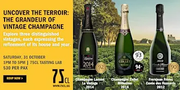 Uncover the Terroir: The Grandeur of Vintage Champagne