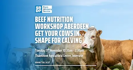 Beef Nutrition Workshop Aberdeen – Get Your Cows in Shape for Calving