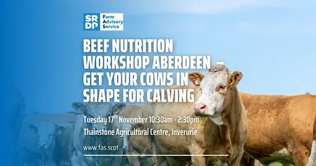Beef Nutrition Workshop Aberdeen – Get Your Cows in Shape for Calving