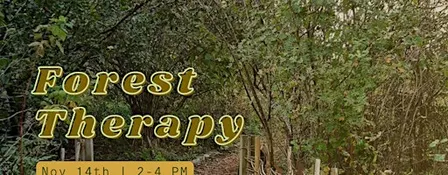 Forest Therapy at the Peace Garden