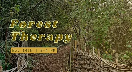 Forest Therapy at the Peace Garden