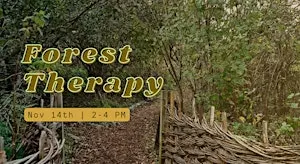 Forest Therapy at the Peace Garden