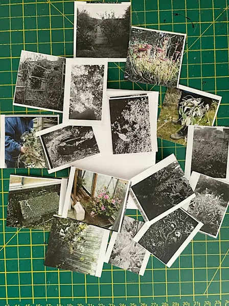 Communal: Eco-Emotions Collaborative Zine-Making