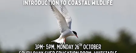 Free introduction to coastal wildlife talk