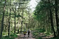 Inclusive Natural Heritage in-person networking event