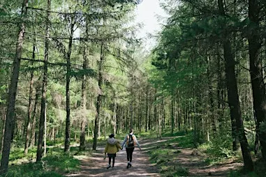 Inclusive Natural Heritage in-person networking event