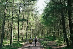 Inclusive Natural Heritage in-person networking event