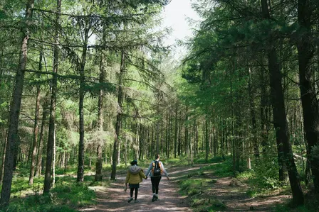 Inclusive Natural Heritage in-person networking event