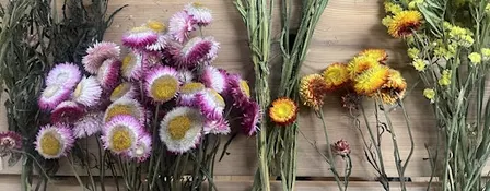 Dried Flower Witch’s Broom Workshop