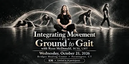 Integrating Movement : From Ground To Gait