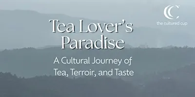 Tea Lover’s Paradise: A Cultural Journey of Tea, Terroir, and Taste