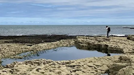 Sounding the local – experiment with soundscapes