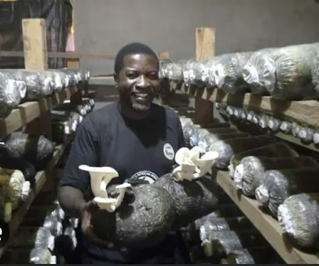 Mushroom Cultivation Workshop