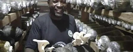 Mushroom Cultivation Workshop