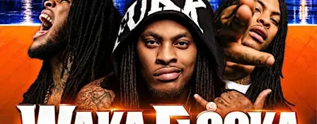 District 804 Presents: Waka Flocka Live - VSU Homecoming Finale