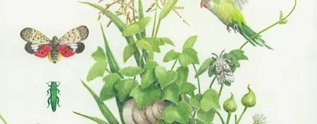 INVASIVE SPECIES 2: Literary Panel and Open Mic Night