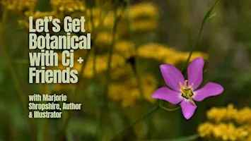 Take a Walk on the Wild Side - Fall Wildflowers and Bird Calls