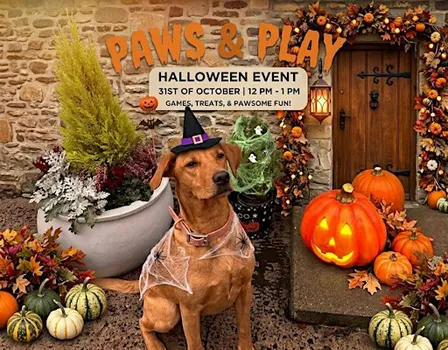 Halloween Paws & Play!