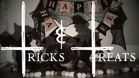 SEARCH AND DESTROY // SHOW 04: tricks & treats