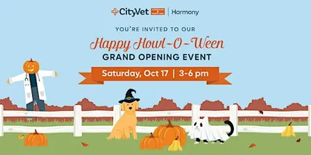 Happy Howl-O-Ween Grand Opening Event | CityVet Harmony