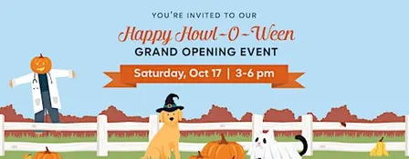 Happy Howl-O-Ween Grand Opening Event | CityVet Harmony