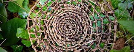 Twined Vines: Ivy & Bindweed Baskets
