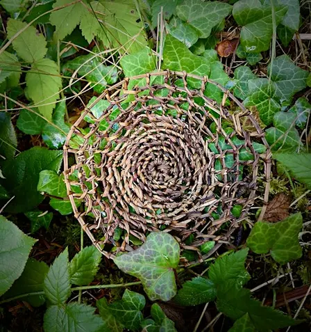Twined Vines: Ivy & Bindweed Baskets
