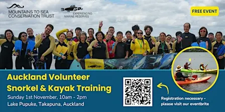 Auckland Volunteer Snorkel Guide & Safety Kayak Training