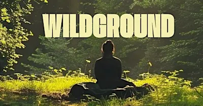 WILDGROUND - A full body reset, guided by the forest