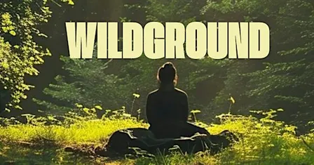 WILDGROUND - A full body reset, guided by the forest