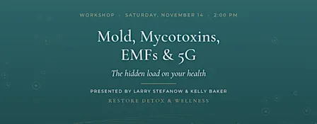 Mold, Mycotoxins, EMFs & 5G: The Hidden Load on Your Health