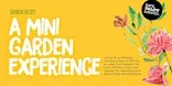 Sayur in the City - A Mini Garden Experience