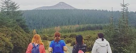 Revive Renew Crone Forest Samhain Hike