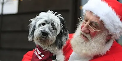 Santa's Grotto at The Grange. (Saturday) at Hearing Dogs for Deaf People.