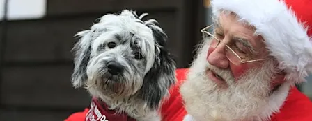 Santa's Grotto at The Grange. (Saturday) at Hearing Dogs for Deaf People.