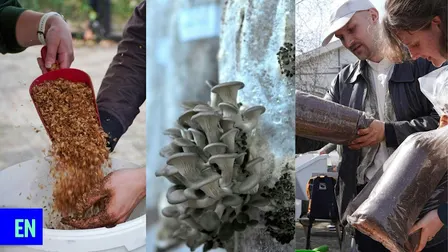 Workshop: grow your own mushroom with Rotterzwam