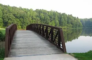 The Reedy Creek Wing Trail