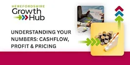 Understanding your Numbers: Cash Flow, Profit & Pricing