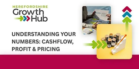 Understanding your Numbers: Cash Flow, Profit & Pricing