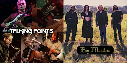 Talking Points & Big Meadow @ Zen West
