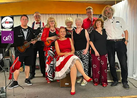 Jukebox Ukulele Band Concert for Cats